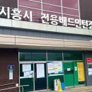 시흥시 전용배드민턴장 이미지