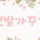 치원농장 이미지