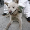 토평남로 이미지