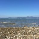 오후펜션 이미지