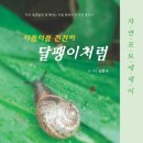 도서출판 학마을B&M - ＜더듬더듬 천천히 달팽이처럼＞ 신간 소개 이미지