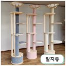 더조은 펫스토리 네이버블로그