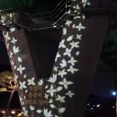 괴강 | 괴산여행 괴강불빛공원 솔직후기