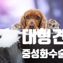 지리산동물병원 이미지