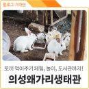 왜가리생태관 Daum카페