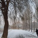 스타벅스 서울웨이브아트센터점 이미지