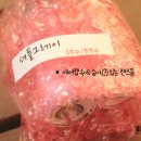 엠아이콘택트 이미지