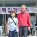 도산초등학교 이미지