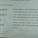 영천한방테마거리 이미지