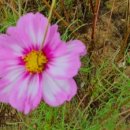 행복한 순간 이미지