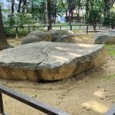 주안동고인돌 이미지