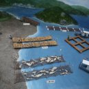 사람과바다 이미지