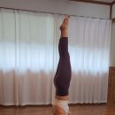 미사와인 | 척추를 펴 올리면 일어나는 놀라운 일! 하남 미사와 시청역가까운 덕풍동 자스민 요가