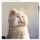 카페천국 이미지