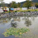 설뫼충효테마파크 이미지