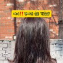 참빛미용실 이미지