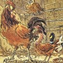 사계절양계장 | [초5논술] 초등 고학년 추천 도서 <마당을 나온 암탉> / 잎싹의 삶의 중심으로 한 논술 수업