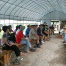 우보농장 이미지