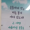 엄지피아노 칼림바 이미지