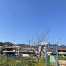 카페CCD부산 이미지