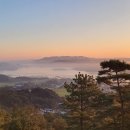 봉수산자연휴양림 이미지