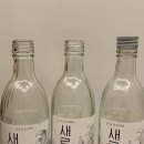 진심참치