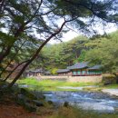 솔숲갈래길 이미지