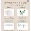 피오르(PIORR) | 피오르 내 돈 내산 미끄럼 방지 강아지 매트 러그 펫 애견 슬개골 논슬립 후기