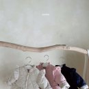 아젤리아 이미지