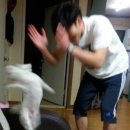 양과자점취향