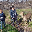 해보농장 이미지