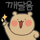이벨라플로