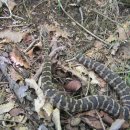 까치자동차 이미지