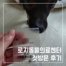 로지동물의료센터 | 로지동물의료센터 위생관리 해주는 거여동 동물병원 다녀왔어요