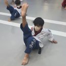 청도경희대태권도장 이미지