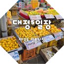 5일시장(주차장) | 대정5일시장 9월 가을방문후기 1일과 6일에 열리는 제주도 전통시장