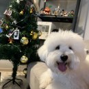 한별목장 | 오랜만이에용 2월