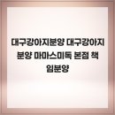행복한강아지 | 대구강아지분양 대구강아지분양 마마스미독 본점 책임분양