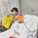 포아 이미지