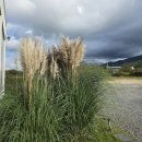 인동가산로2L-23 | 구미 한식 맛집 구첩반상 곤드레밥 한정식 메뉴 후기