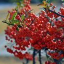 충무공파출소 이미지