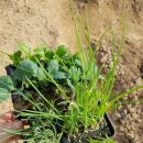 화원농장4 이미지