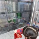 오션클래스어린이집 이미지