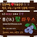 블루베리체험 팜하우스 체험교육농장 강원도 당일치기 농장체험 추천