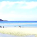 협재 정담 렌트하우스 이미지