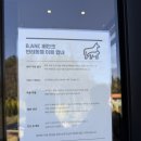 중방지구2 | 광주 광산구 대형카페 , 애견 동반 가능한 카페 , 비안크 내돈내산 후기