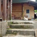 호암민박 이미지