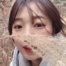 명곡뒷고기막창 네이버블로그