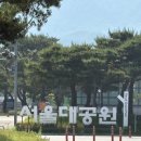 쥬라기아일랜드 | [나들이] 서울랜드 크라켄 아일랜드 후기/돗자리 꿀팁/서울랜드 물놀이/서울랜드 베스트키즈 후기