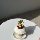 데일리오아시스